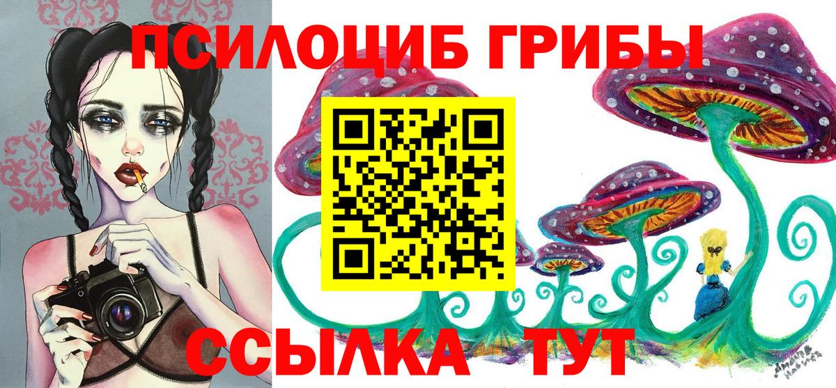 цены   Вход с VPN  Елабуга  Галлюциногенные грибы мицелий  Псилоцибиновые грибы Psilocybine cubensis 