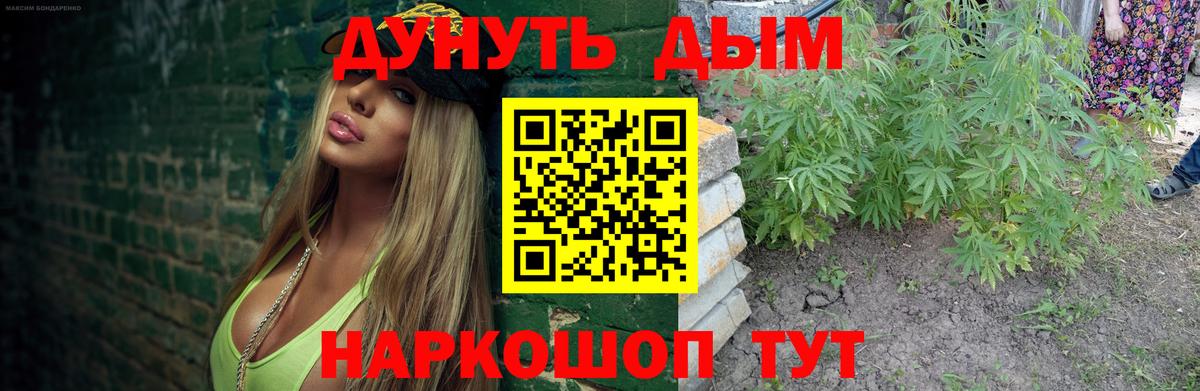Бошки марихуана White Widow  Марихуана марихуана  Елабуга  Вход с VPN  Бошки Шишки SATIVA & INDICA  Бошки Шишки THC 21% 